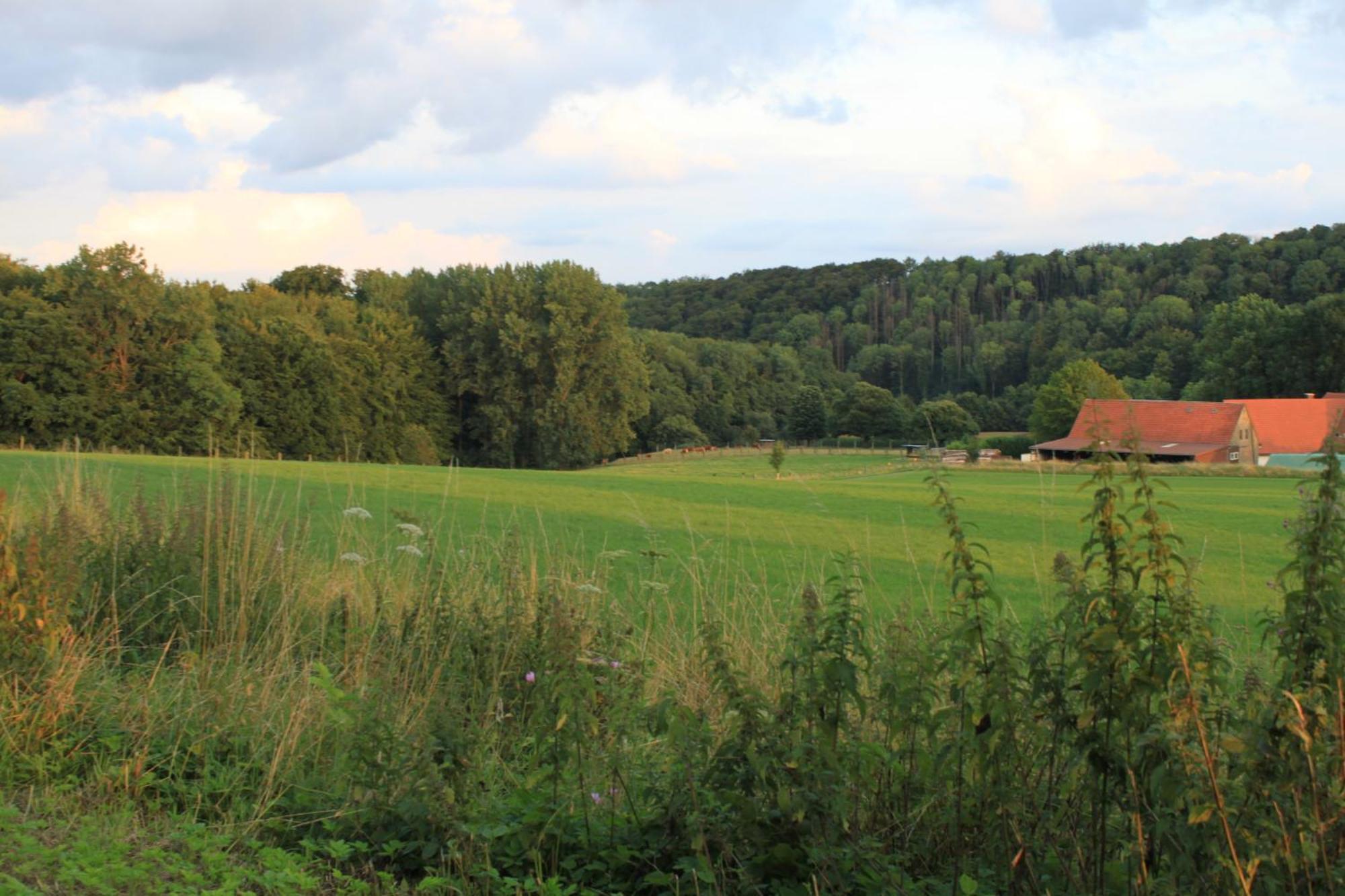 Fewo Harling - Waldsamkeit Bad Iburg Exterior photo