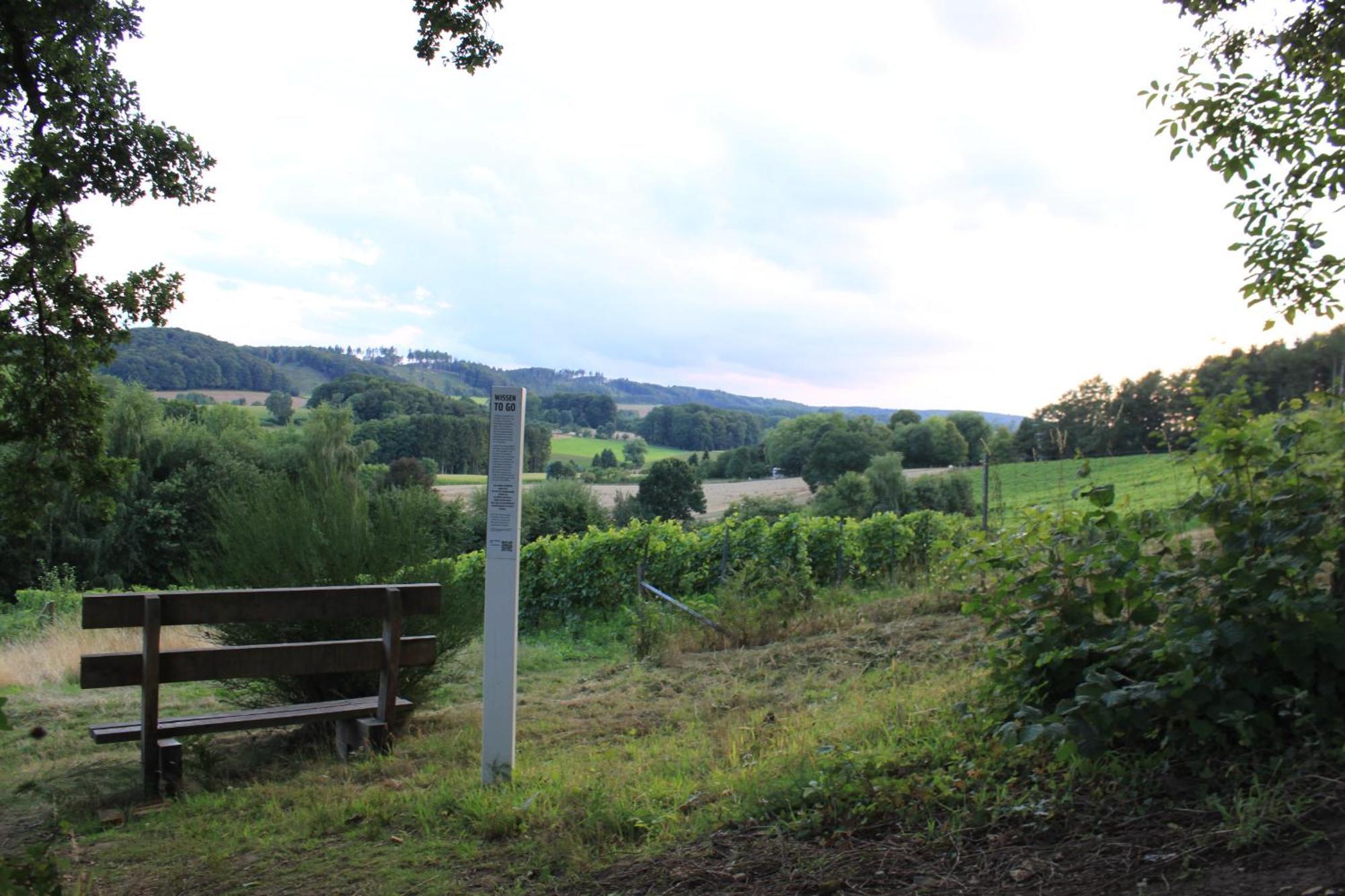 Fewo Harling - Waldsamkeit Bad Iburg Exterior photo